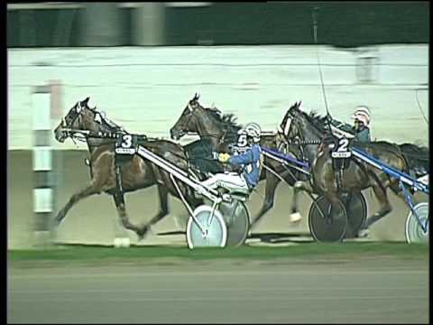 Trotto 20/11/2016 - 9ª corsa