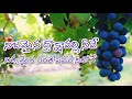 Nijamaina Drakshavalli Telugu Christian Songs