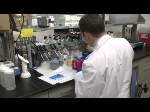 Research Minute - Periodontal Disease