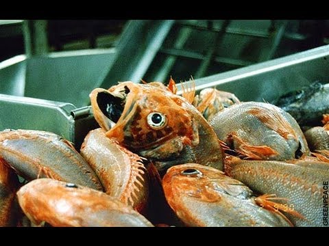 The End of the Line - Trailer