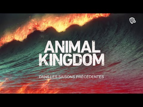 ANIMAL KINGDOM │ Recap saison 1 à 4 │ Warner TV