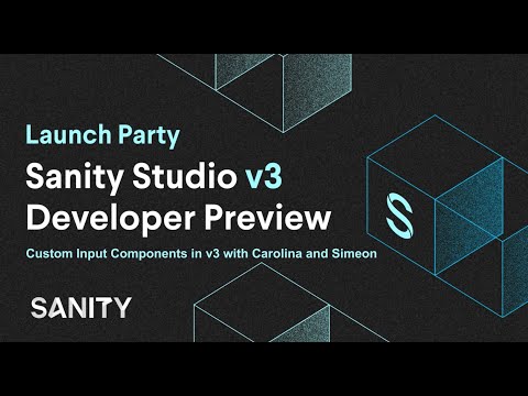 v3 Developer Preview - Custom Input Components in v3 with Carolina and Simeon