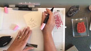 Best Bunny Bundle with Pink Buckaroo