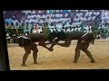 Labo mai kafo vs Badamassi Alassane, finale zinder 1994
