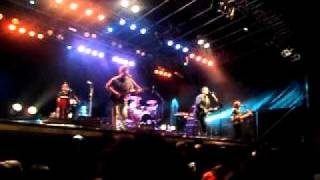 Corderos de la noche. LAS PELOTAS en las  flores