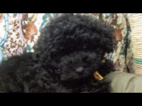 percy sledge - you got away with love.avi