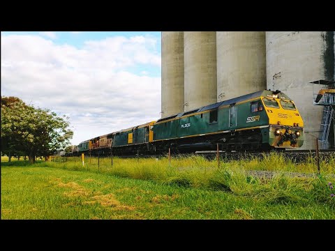 Massive 7 loco lash up SSR grain RL305 442s1 L277 RL307 48s34 4911 BRM002 Willow Tree NSW 12-11-2022