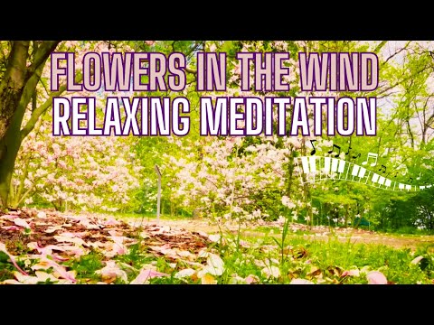 Flowers In The Wind Relaxing Meditation #peace #piano #instrumental #432hz #nature #relaxationmusic