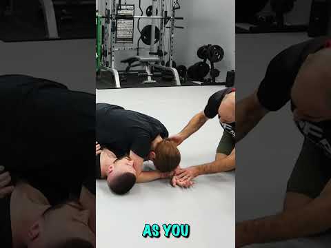 Alta Warrior Training Program starting 29th January 2024