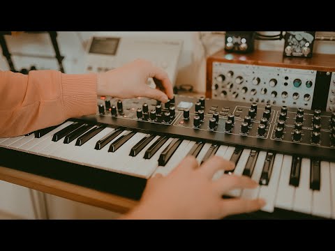 Is It Too Late? | Prophet Rev2 only