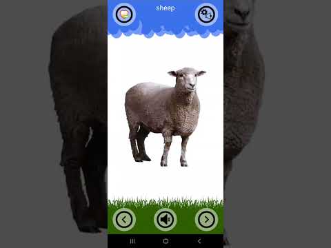Animal Sounds and Ringtones