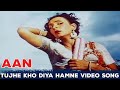 Tujhe Kho Diya Hamne Pane Ke Baad Lata Mangeshkar Video Song Aan 1952 Nadira Eagle Movies