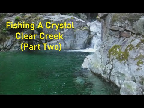 Fishing A Crystal Clear Creek (Part Two)