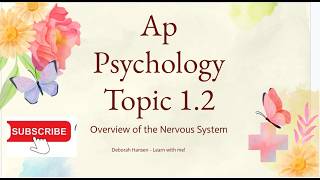 AP Psychology 1.2 Overview of the Nervous System - Explained!