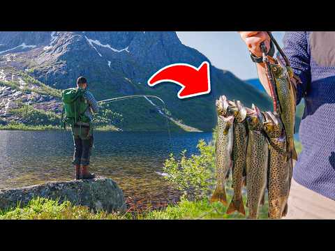 Wilde Forellen FANGEN, TÖTEN und ZUBEREITEN 🔪 Catch & Cook am Bergsee