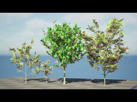 Purple Robe Robinia 3D animation in unreal engine