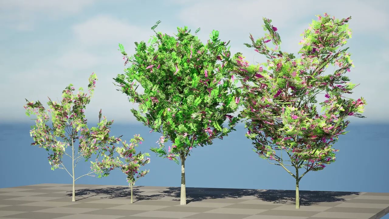 Purple Robe Robinia 3D Model