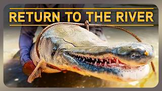 We Caught the Biggest Fish in This River! Alligator gar fishing