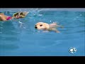 Barbie I Can Be Swim Champions And Team Barbie Taffy Dolls Commercial 2012 15s Seconds