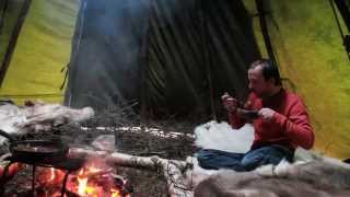 Baby Reindeer Earmarking