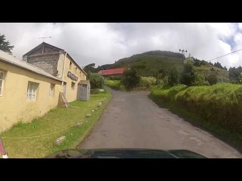 Saint Helena Drive,  May 4. 2014