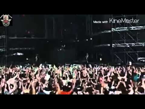 Quinitino & Sandro Silva Aftermath