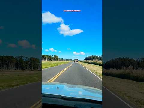 High way from Buenos Aires to Pinamar ❤️🇦🇷