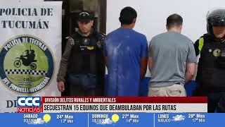 DIVISIÓN DELITOS RURALES Y AMBIENTALES