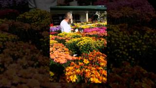 preview picture of video 'Greenstreet Gardens Fall Festival, Lothian, Maryland'