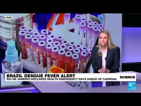 Dengue fever outbreak in Brazil: Rio declares health emergency ahead of Carnival • FRANCE 24