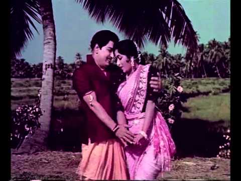 Read more about the article Thottal Poo Malarum HD Song