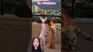 Download lagu Dance together‼️ DilekLina mp3