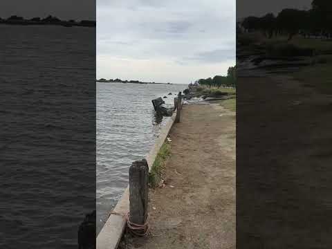 así está Gral Lavalle #hoy #pesca en la ria