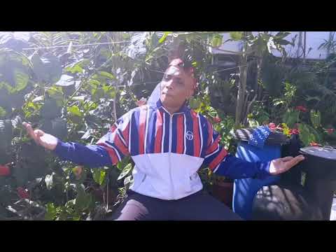 Big G Déter frestyle 2