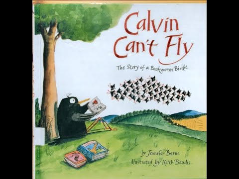 Calvin Can't Fly
