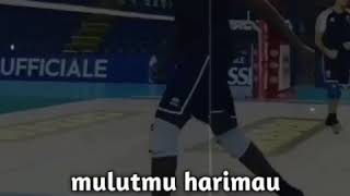 Download lagu Story wa volly || MULUTMU HARIMAU MU... mp3