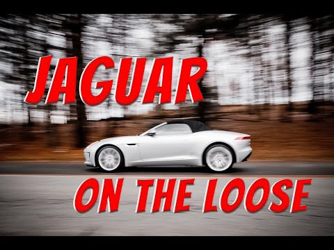 2016 Jaguar F-Type (CC-1446090) for sale in Rockville, Maryland