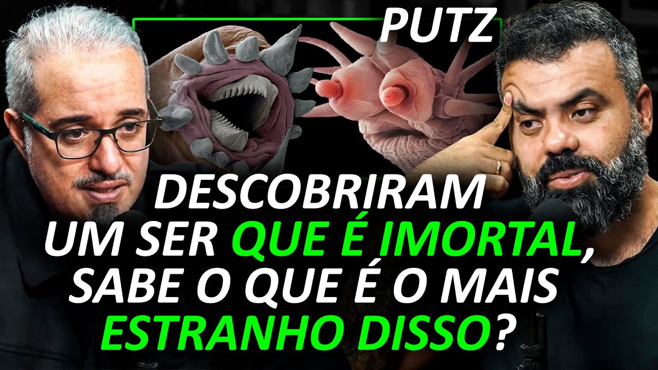 ABSINTO do APOCALIPSE: A PROFECIA BÍBLICA que POUCOS PERCEBERAM...