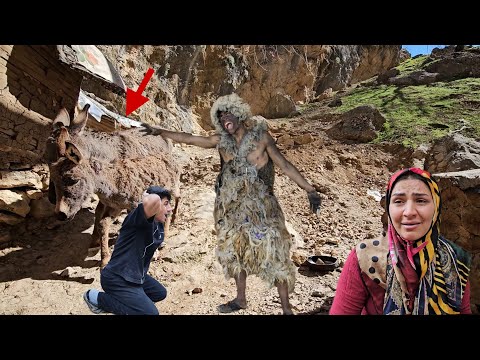 "Un salvataggio incredibile: la famiglia di Hussein contro il selvaggio cavernicolo"