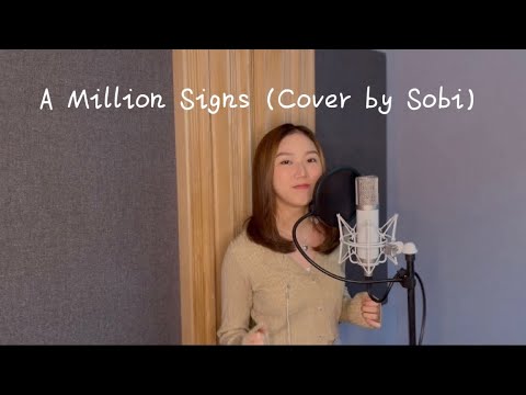 A Million Signs - Vividry
