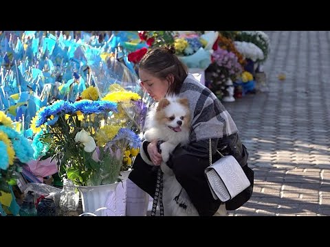 Vidéo Samsung QLED