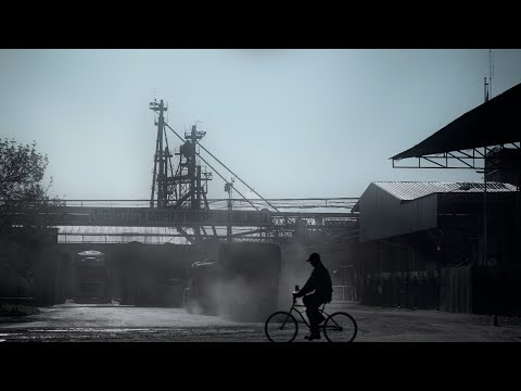 CUELLOS BLANCOS. EL CASO VICENTIN🎞️Un documental de Andrés Cedrón #Testimonio Alejandro Bercovich