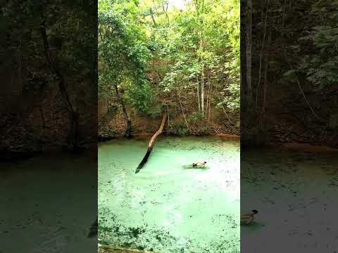 Um Mergulho em Águas Cristalinas | Serranópolis – GO