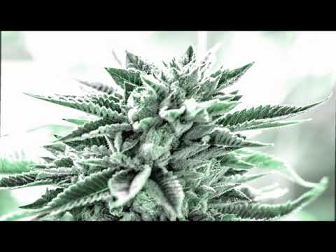 Supa Bwe - Do You (Mary Jane)