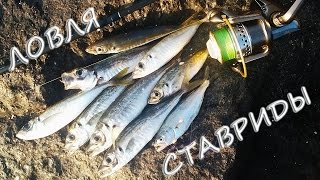 Рыбалка на черном море спиннинг