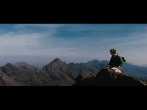 SEACHD-  The scarlet primrose