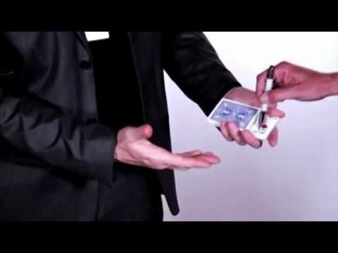 Airline Concept by JP Vallarino