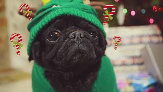 Jason Richardson XMAS - Lindsey Stirling - 'Dance of the Sugar Plum Fairy'