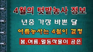 [텃밭농부 1,830]  4월의 텃밭농사 정보. 년중 가장 바쁜 달. #월별 텃밭농사