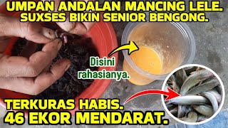 Download lagu Bongkar rahasia umpan mancing lele harian paling ampuh dan gacor. mp3